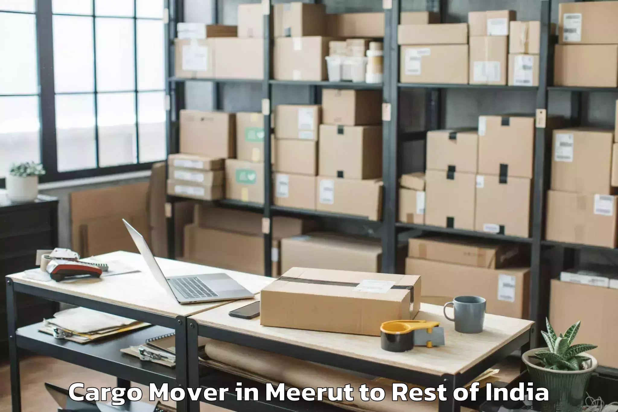 Top Meerut to Tral Cargo Mover Available